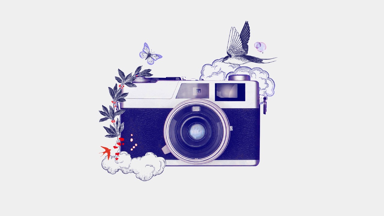 A camera with illustrations of clouds, a plant, a bird and a butterfly.